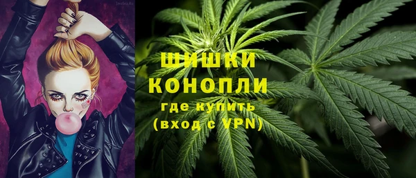 прущие грибы Михайловск