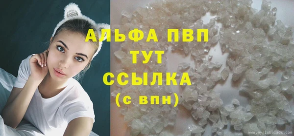 прущие крисы Щёлкино