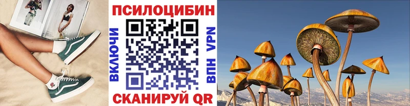 Галлюциногенные грибы мицелий Белая Холуница